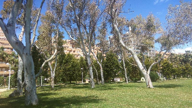 Acv - Costa Marina I-1ª Linea Planta 2 Sur Apartment Оропеса дел Мар Екстериор снимка
